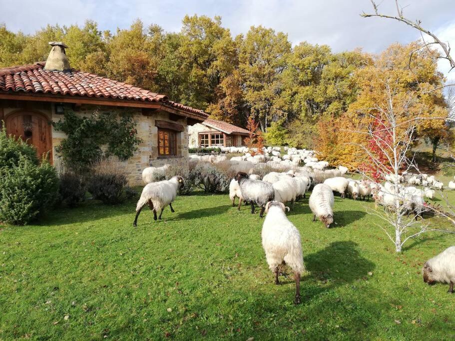 Guikuri Octogono Casa Rural 1, 2 Y 3Pax Βίλα Murua Εξωτερικό φωτογραφία