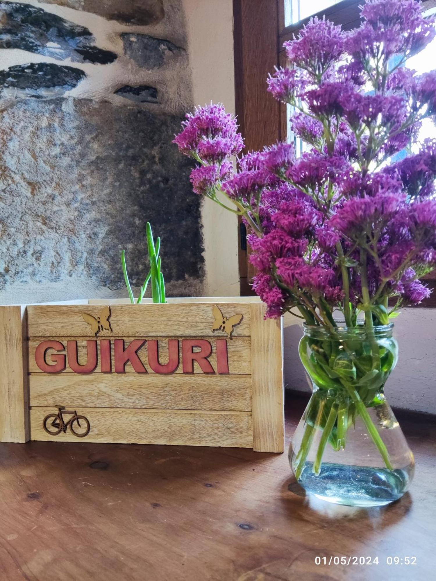 Guikuri Octogono Casa Rural 1, 2 Y 3Pax Βίλα Murua Εξωτερικό φωτογραφία